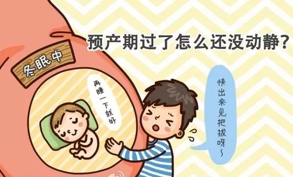 试管婴儿孕周计算 试管婴儿孕周计算