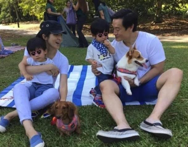 杨采妮试管婴儿 杨采妮试管婴儿