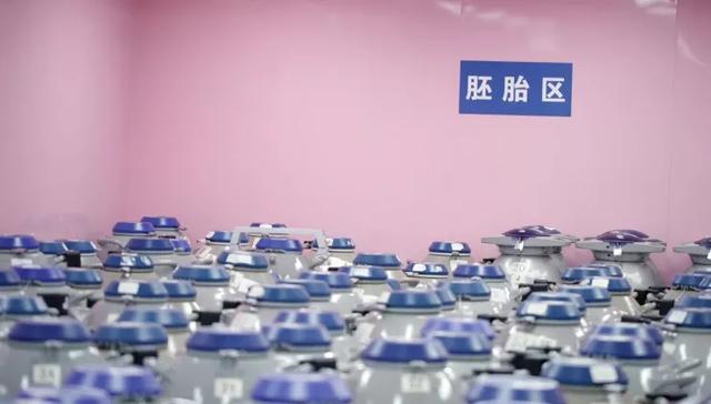 做试管婴儿上海 做试管婴儿上海