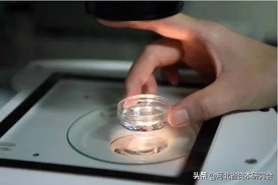 河北试管婴儿费用(试管婴儿保险)