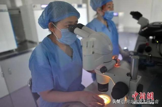 河北试管婴儿费用
