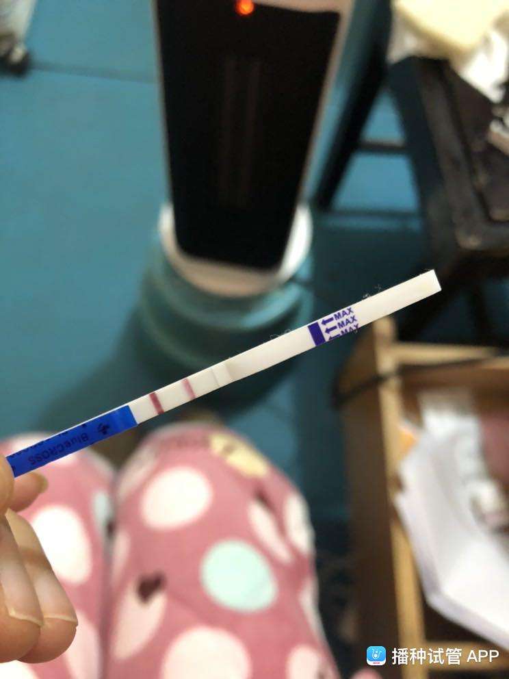 试管婴儿移植12天(移植第十二天测到双杠)