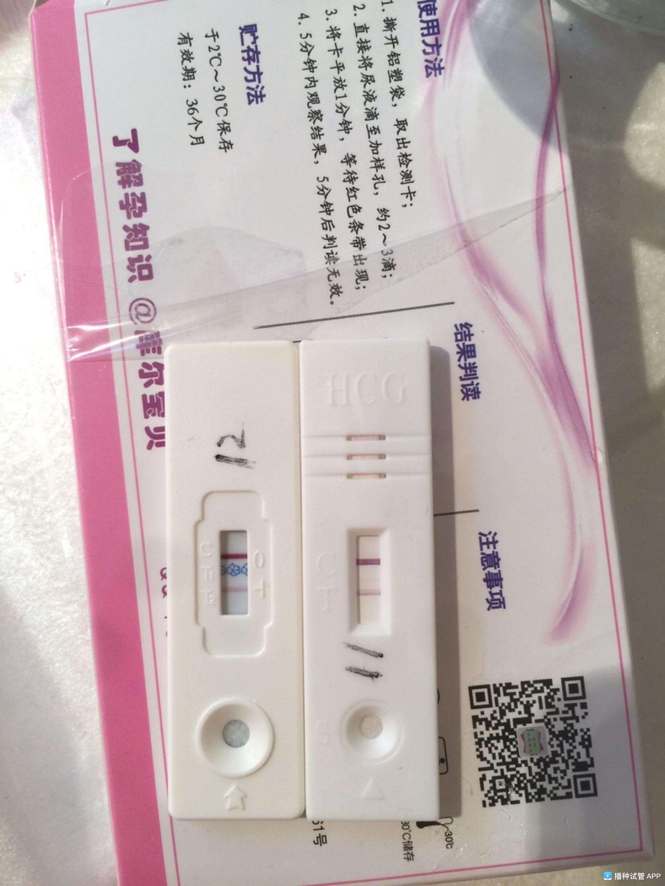 试管婴儿移植12天(移植第十二天测到双杠)