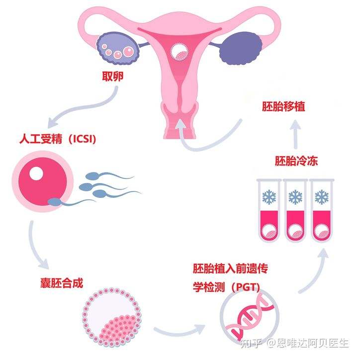 试管婴儿受精试管婴儿长大后的弊端