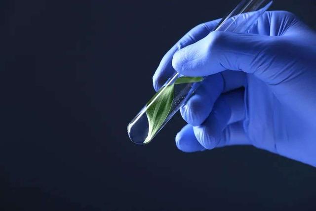 深圳哪家医院做试管婴儿最好 深圳哪家医院做试管婴儿最好