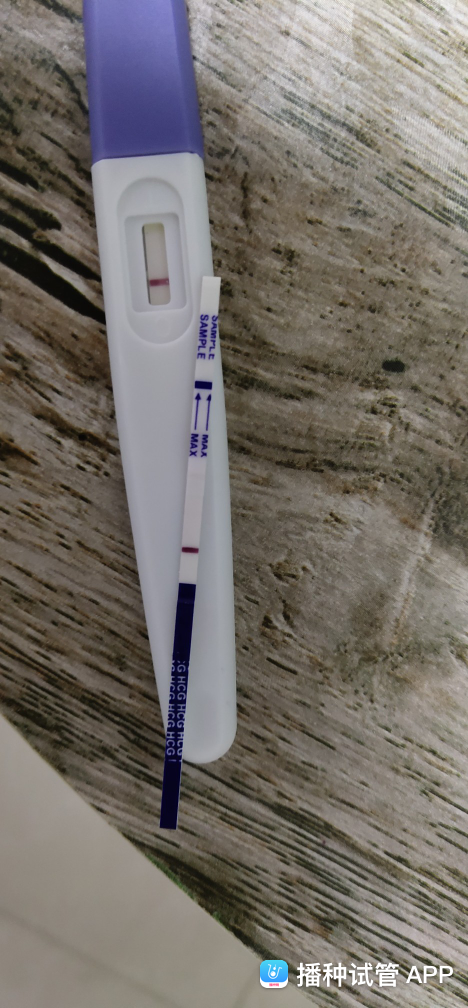 试管婴儿移植25天移植囊胚26天是几周
