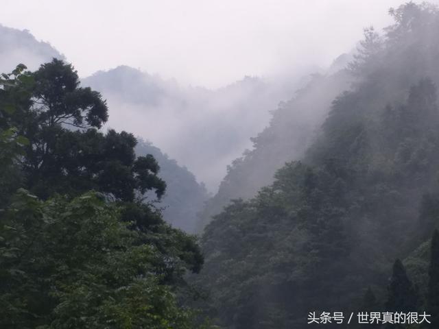 玛雅试管婴儿