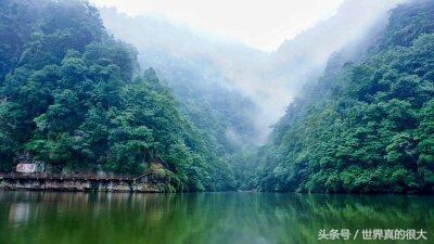 玛雅试管婴儿