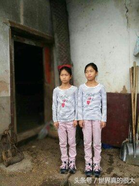 玛雅试管婴儿