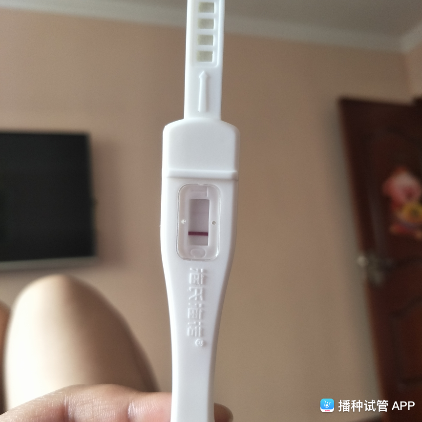 试管婴儿白板(移植13天白板最后成功)