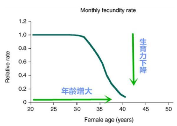 刘若英是试管婴儿 刘若英是试管婴儿