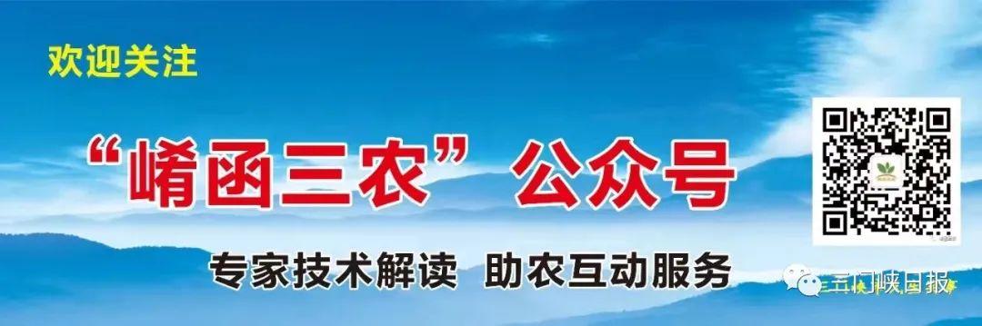 试管婴儿河南