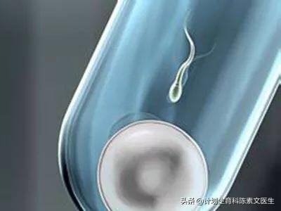 试管婴儿申请条件 试管婴儿申请条件