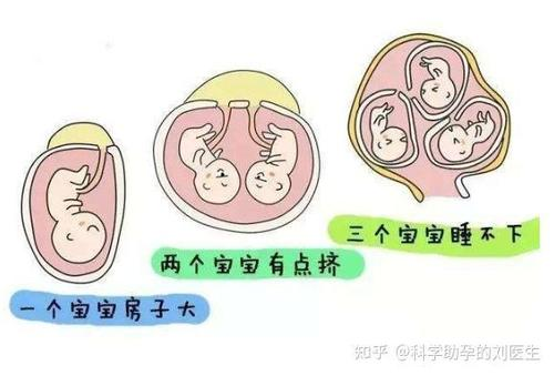 试管婴儿双两管胚胎一般是几个