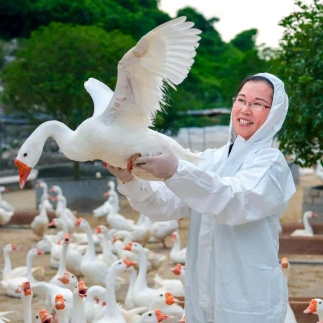 宁波第一医院试管婴儿 宁波第一医院试管婴儿