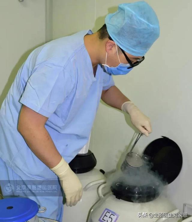 试管婴儿胚胎冻胎冷冻卵子和试管婴儿的区别