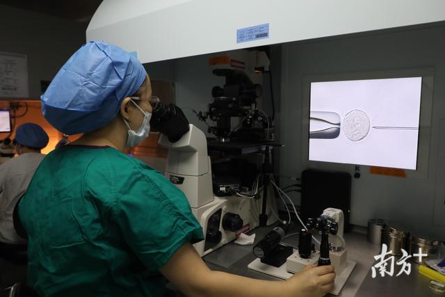 试管婴儿可以买精子吗 试管婴儿可以买精子吗