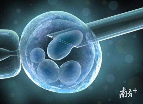 试管婴儿可以买精子吗 试管婴儿可以买精子吗