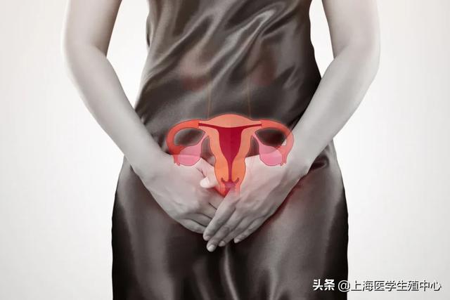 子宫肌瘤试管婴儿 子宫肌瘤试管婴儿