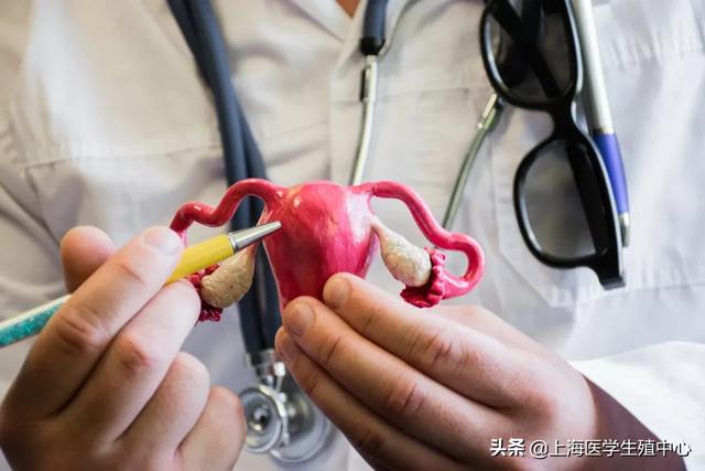 子宫肌瘤试管婴儿 子宫肌瘤试管婴儿