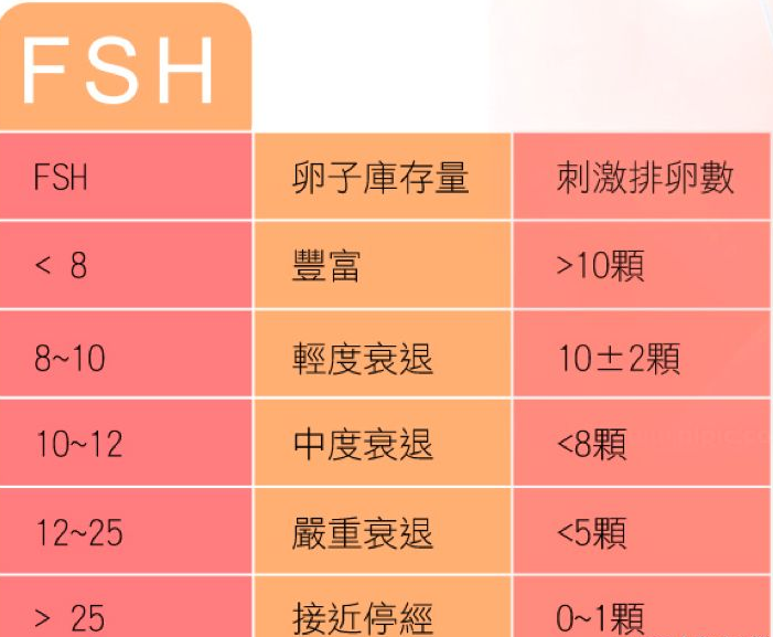 试管婴儿定方案做试管定方案什么意思