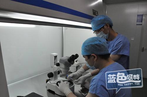 爱维艾夫试管婴儿(爱维艾夫试管婴儿网)