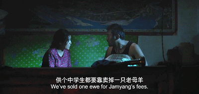 佛教试管婴儿 佛教试管婴儿