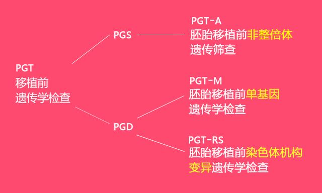试管婴儿英语 试管婴儿英语
