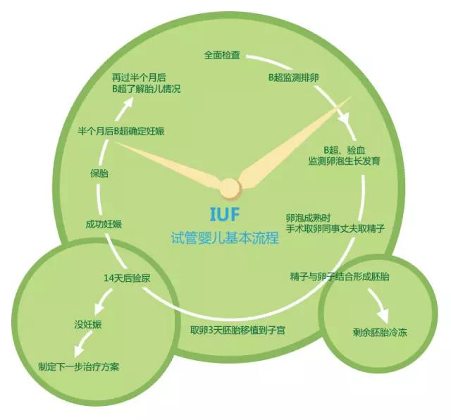 试管婴儿费用明细 试管婴儿费用明细