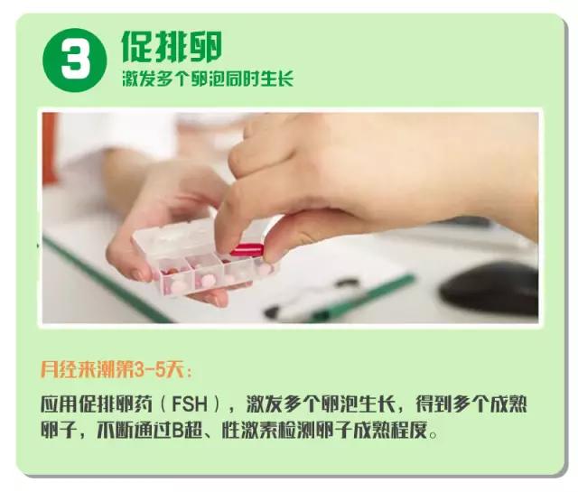 试管婴儿费用明细 试管婴儿费用明细