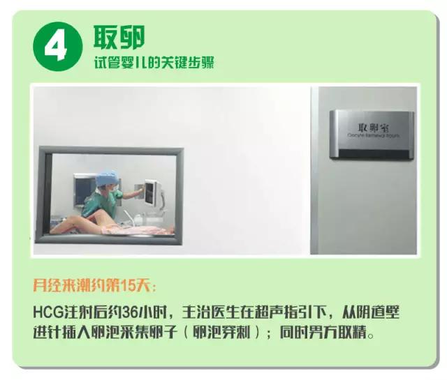 试管婴儿费用明细 试管婴儿费用明细