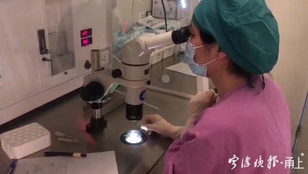 宁波试管婴儿医院 宁波试管婴儿医院
