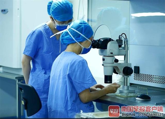 试管婴儿广西 试管婴儿广西