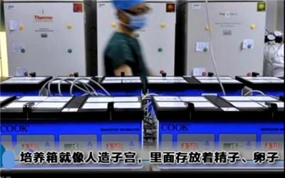 试管婴儿怎么放入子宫 试管婴儿怎么放入子宫