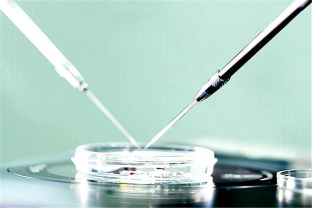 试管婴儿4个月 试管婴儿4个月