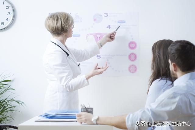 试管婴儿取卵从哪里取(试管婴儿女方取卵)