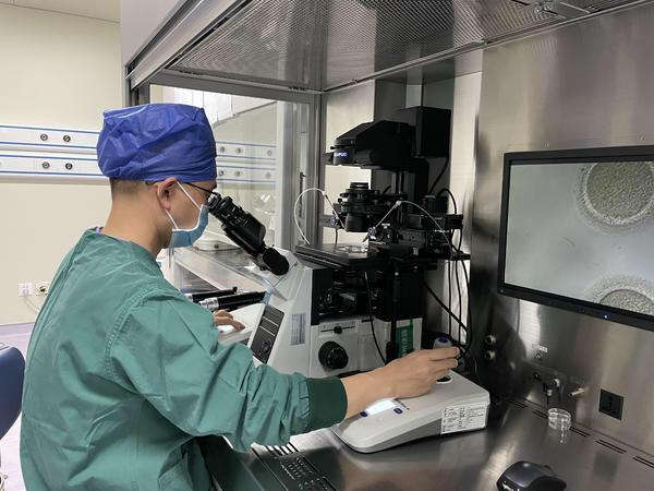 试管婴儿实验室 试管婴儿实验室
