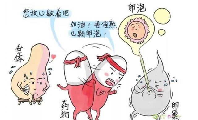 做试管婴儿打排卵针可以同房吗 做试管婴儿打排卵针可以同房吗