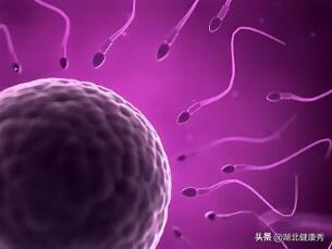 子宫纵隔试管婴儿 子宫纵隔试管婴儿