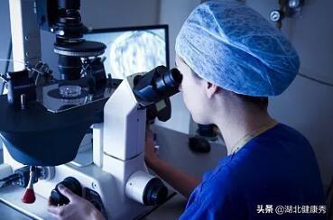 子宫纵隔试管婴儿纵隔子宫是怎么导致的