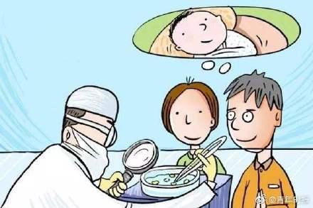 试管婴儿温州(温州附二医试管婴儿成功率)
