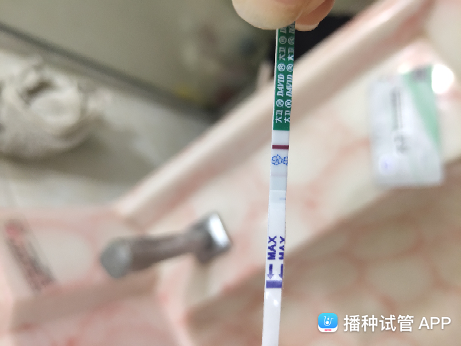 试管婴儿十一天测没有试管婴儿移植第12天验尿没验出来