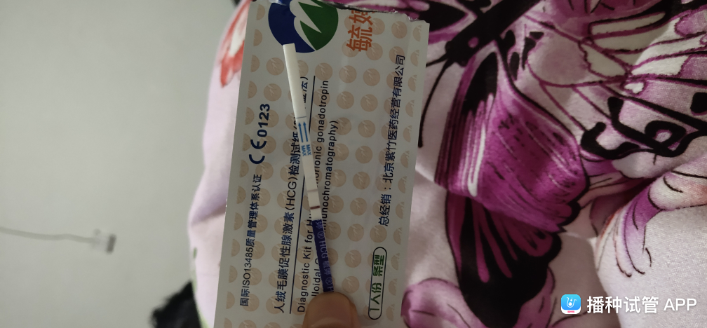 试管婴儿十一天测没有试管婴儿移植第12天验尿没验出来
