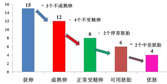 试管婴儿取卵才取了3个 试管婴儿取卵才取了3个