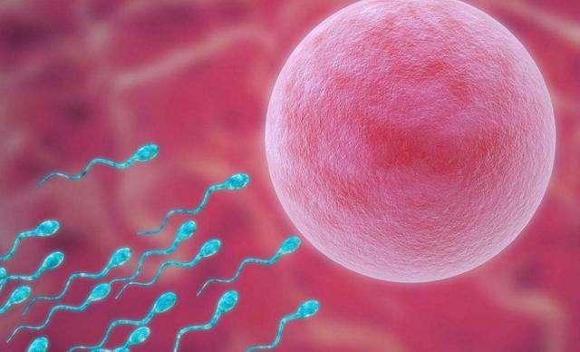 试管婴儿取卵才取了3个 试管婴儿取卵才取了3个