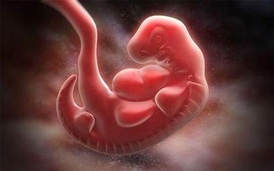 试管婴儿和自然怀孕有什么不同 试管婴儿和自然怀孕有什么不同