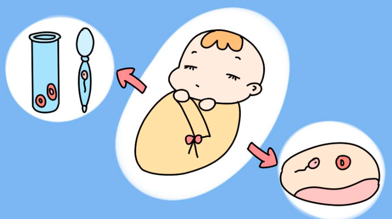 试管婴儿后肚子有点痛试管移植没着床但是小肚子疼