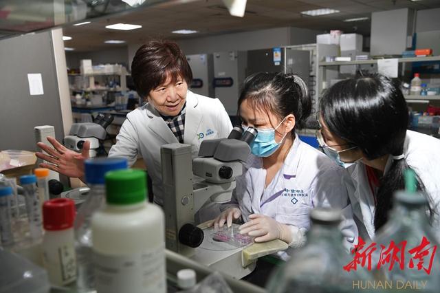 试管婴儿科研 试管婴儿科研