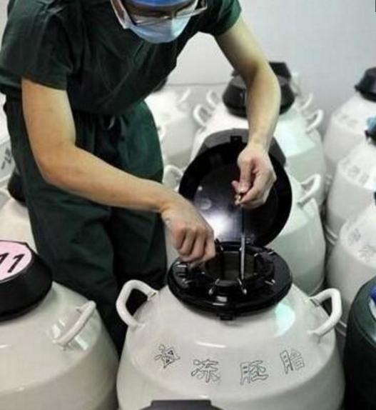试管婴儿取卵过程