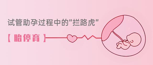 试管婴儿胎停的原因试管婴儿双胎风险高吗